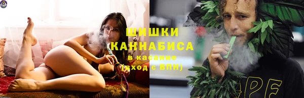 эйфоретик Арсеньев