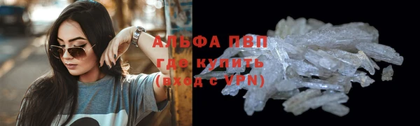 эйфоретик Арсеньев
