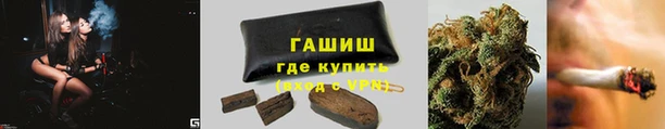 эйфоретик Арсеньев