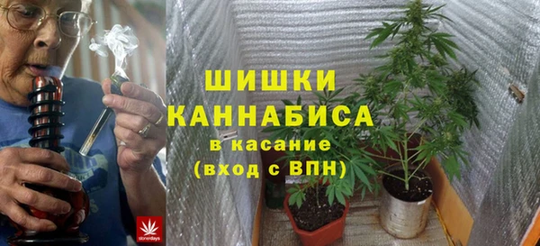 PSILOCYBIN Валуйки