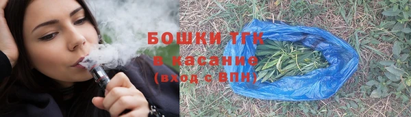 эйфоретик Арсеньев