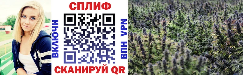 Шишки марихуана OG Kush  Дно 