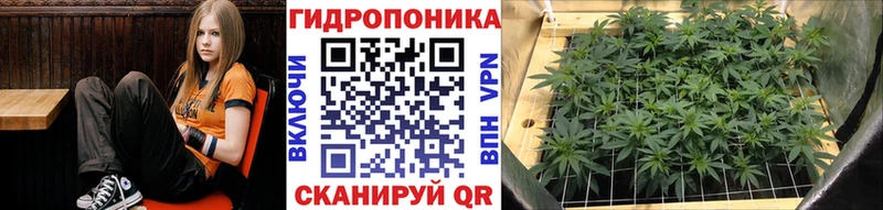 Марихуана THC 21% Дно